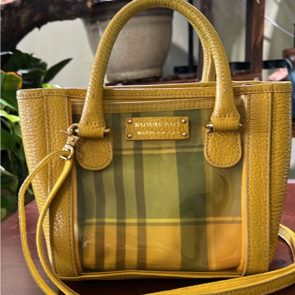 Burberry Yellow and Green Transparent Crossbody Bag